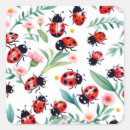 Recherche de coccinelle sur feuille autocollants Insecte