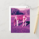 Recherche de peintures de cheval cartes postales Pince