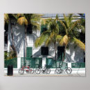 Suche nach historisches florida poster Landschaft
