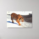 Suche nach sibirischer tiger leinwandbilder Tierjagd