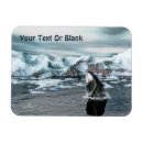 Recherche de baleines magnets Animaux