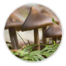 Recherche de champignons boutons et poignées de porte Forêt