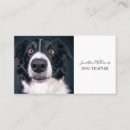 Suche nach hundetrainer visitenkarten Foto
