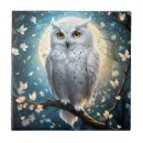 Recherche de neige carreaux Oiseau