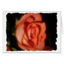Suche nach rosenkarten Blume