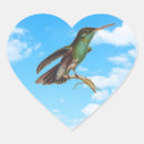 Suche nach vogelkunde aufkleber Kolibris