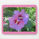 Suche nach foto der blume mousepads Hibiskus