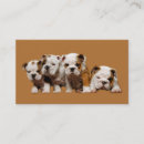 Suche nach tyrann visitenkarten Bulldogge
