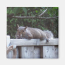 Recherche de barrière magnets Jardin