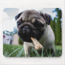 Suche nach schaffen mousepads Familie