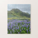 Recherche de beau pourpre photographie Violet