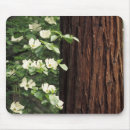 Suche nach ich bin 3 mousepads Baum