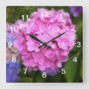 Recherche de hortensias horloges Mur