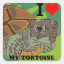 Recherche de tortoise autocollants Animaux