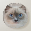 Recherche de ragdoll coussins Mignon