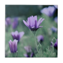 Suche nach lavendel fliesen Blau