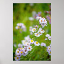 Suche nach linen poster Blätter