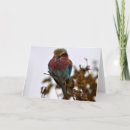 Recherche de tanzanie vœux cartes Photographie