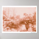 Suche nach sammler poster Vintag