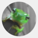 Recherche de froggy autocollants Crapaud