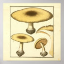 Suche nach brot kunst Drucken