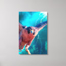 Suche nach wings leinwandbilder Raubvogel