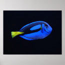 Suche nach meerwasser poster Natur