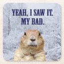 Recherche de marmottes dessous de verres Mignon