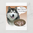 Recherche de malamute cartes postales Dog