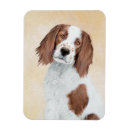 Recherche de setter magnets Animal