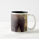 Suche nach grizzlybär tassen Fleischfresser