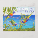 Recherche de peinture cartes postales Oiseau