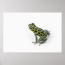 Suche nach schwarzer pfeil poster Reptilien