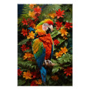 Recherche de maccaw posters Macaw