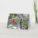 Suche nach feigen karten Rot