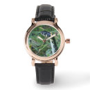 Recherche de serpent montres Faune