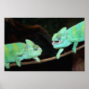 Recherche de caméléon art Lézards