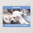 Recherche de paques cartes postales Chiot