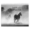 Recherche de chevaux de deux calendriers 2026