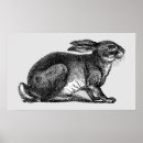Recherche de lièvre art Animal sauvage