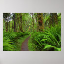 Suche nach moos poster Washington