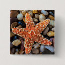 Recherche de étoiles de mer badges Plage