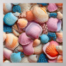 Recherche de seashell posters Plage