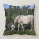 Recherche de poulain coussins Cheval