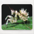 Recherche de adapté tapis souris Adaptation