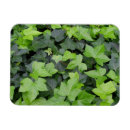 Recherche de impressions de botanique magnets Pour tous