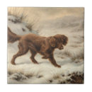 Suche nach gordon fliesen Hund