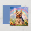 Recherche de yorkie animaux mémoriaux Yorkshire terrier