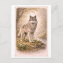 Suche nach wolf im wald postkarten Grau
