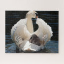 Recherche de cygnes puzzles Enfants